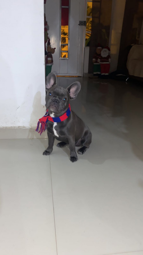 Milo