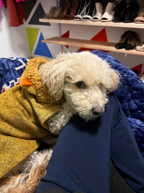 Mateo