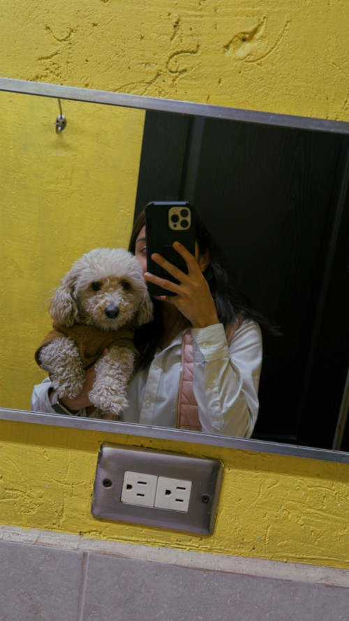 Mateo