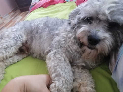 Teo