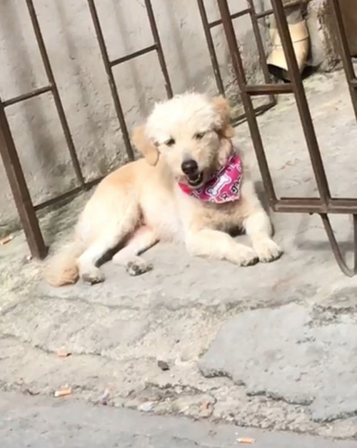 Samantha
