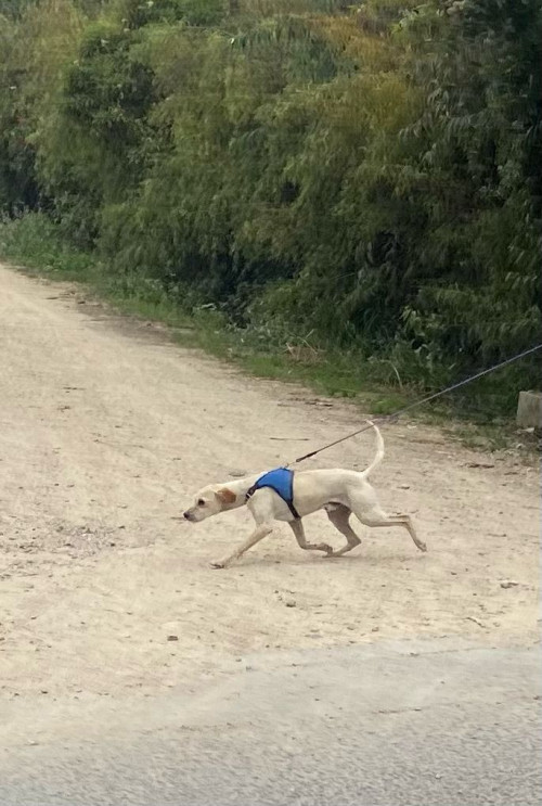 Matias