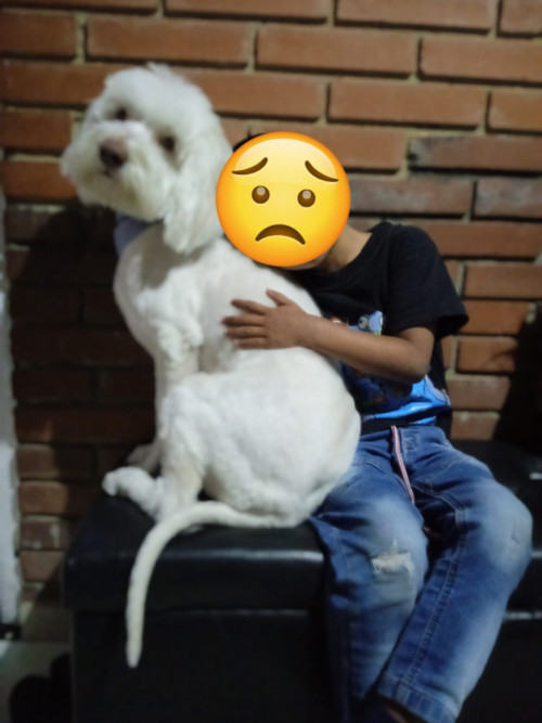Max