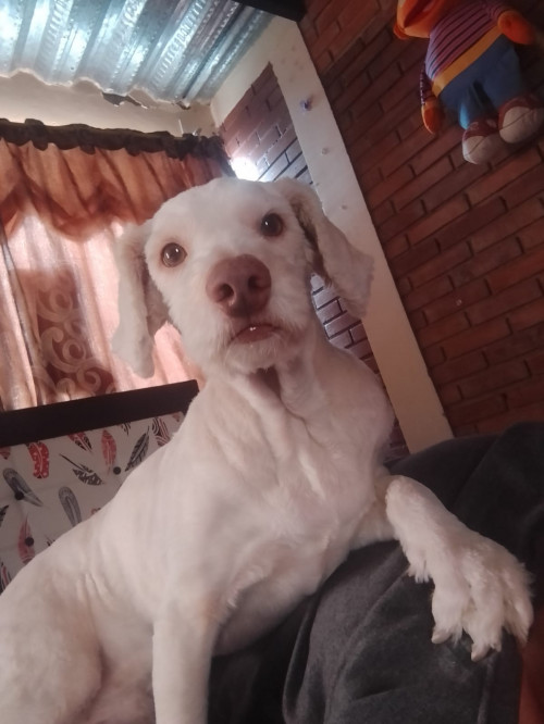 Max