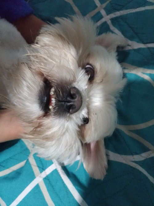 Sam