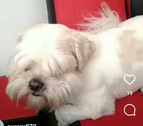 Sam
