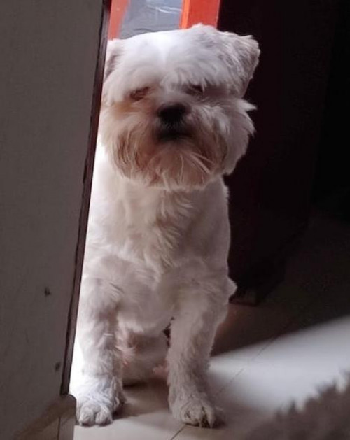 Sam