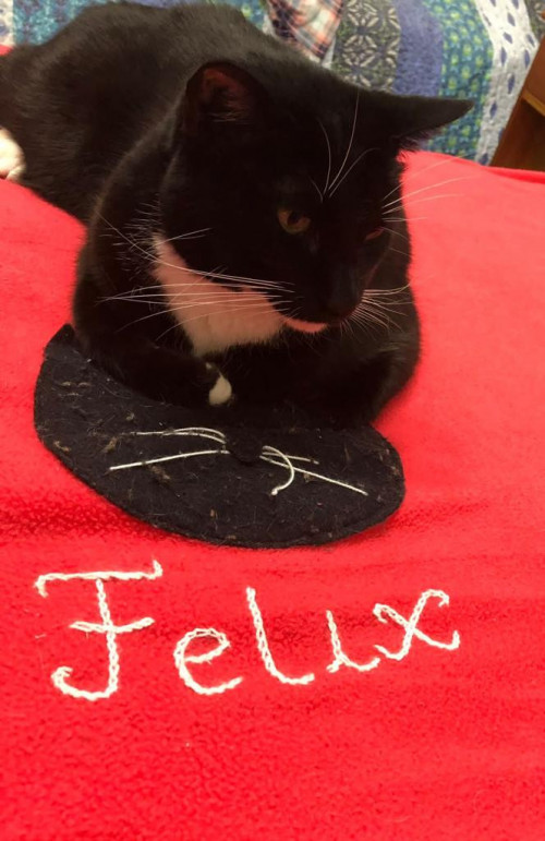 Félix