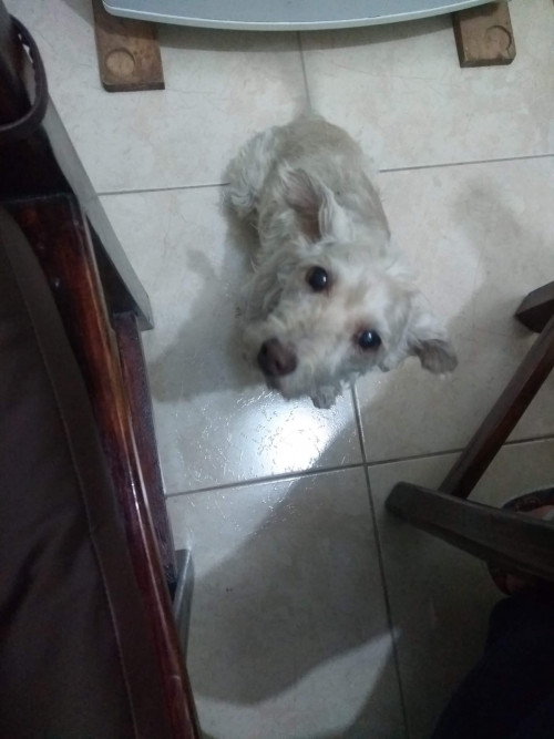 Towy