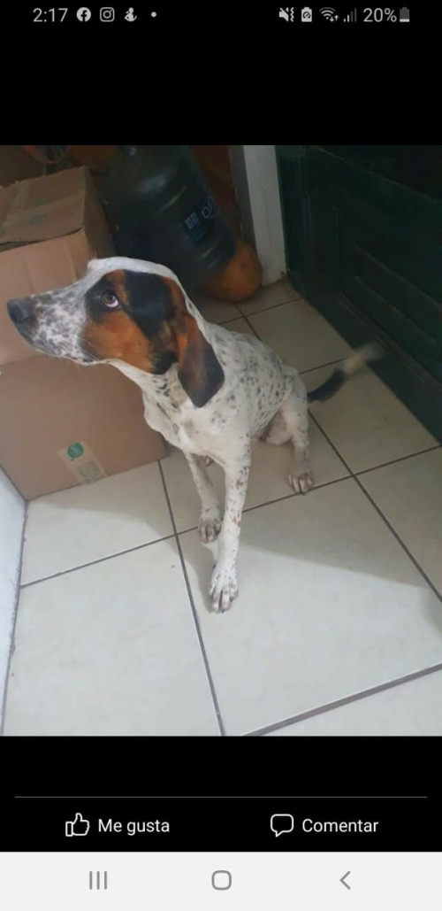 Molly