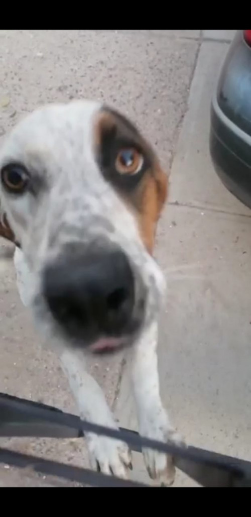 Molly