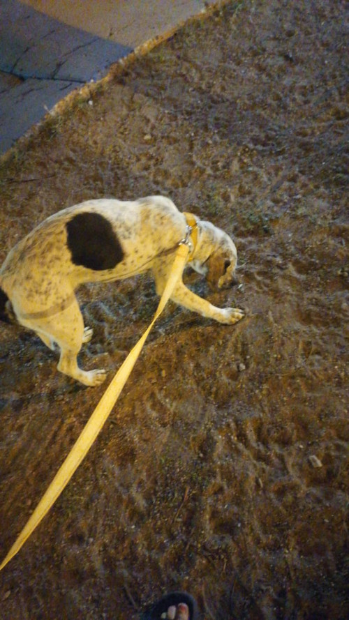 Molly