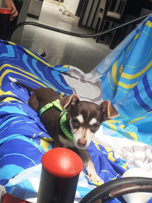 Max