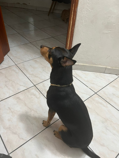 Milagro