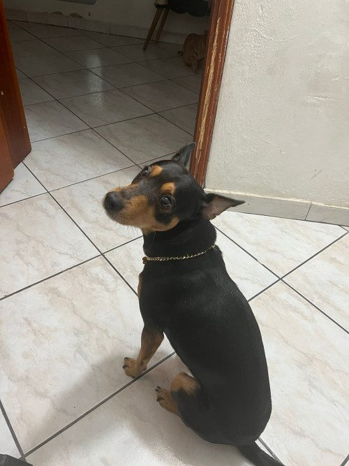 Milagro