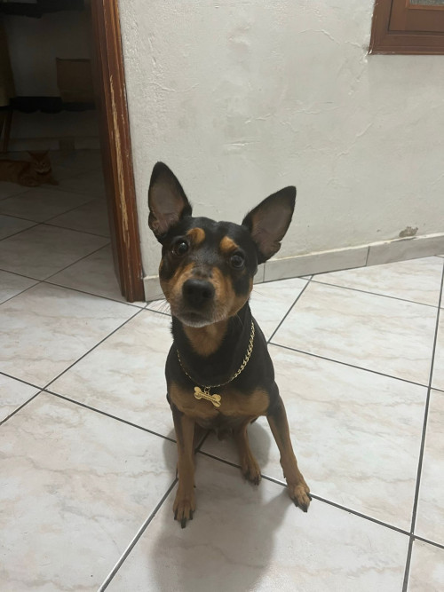 Milagro