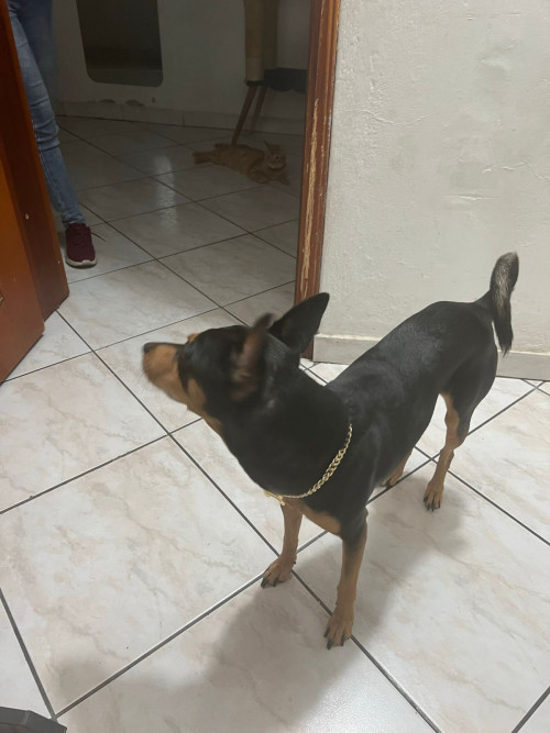 Milagro