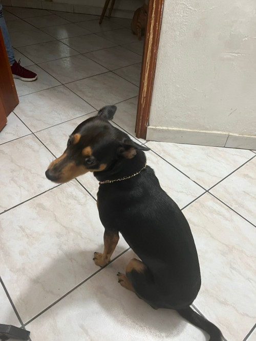 Milagro