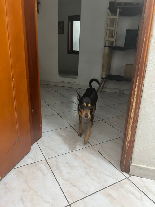 Milagro