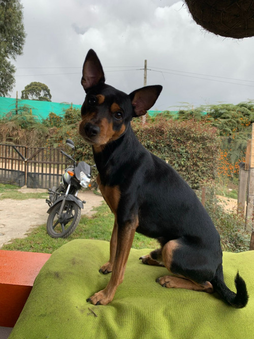 Milagro