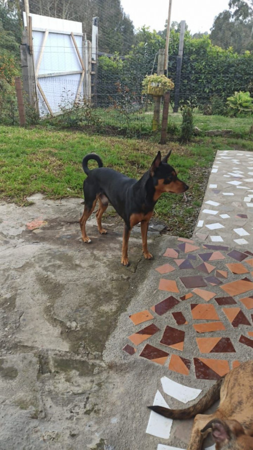 Milagro