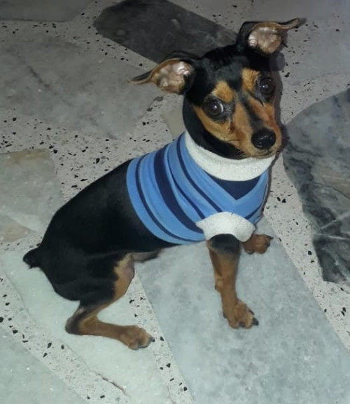 Luki