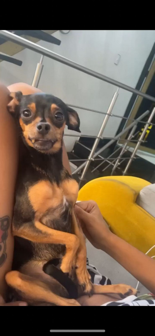 Niña