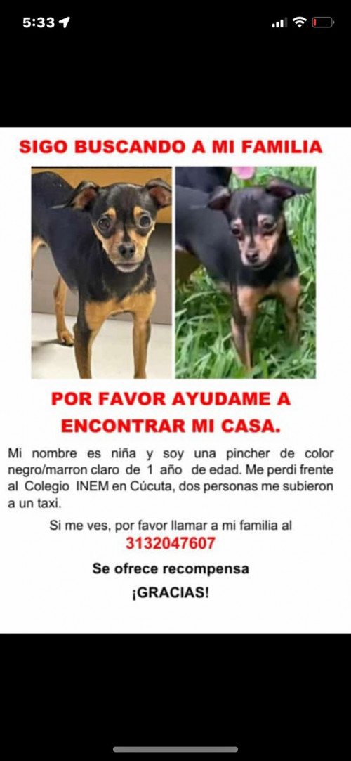 Niña