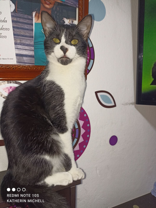 Tom