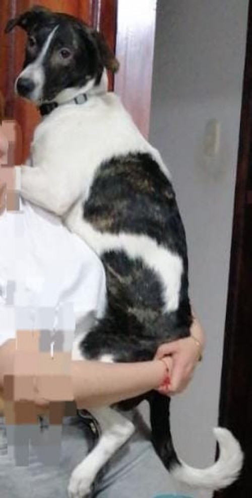 Luna