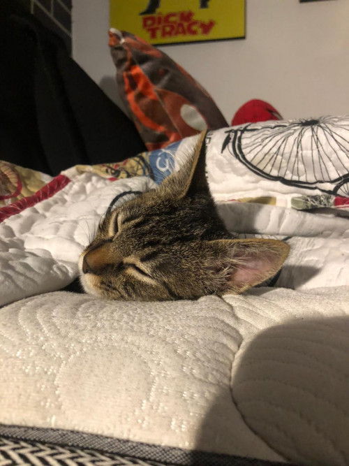 Matilda