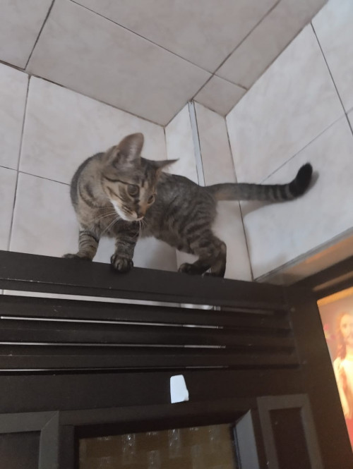 Matilda