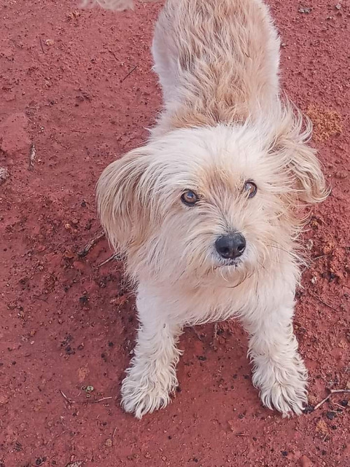Rita