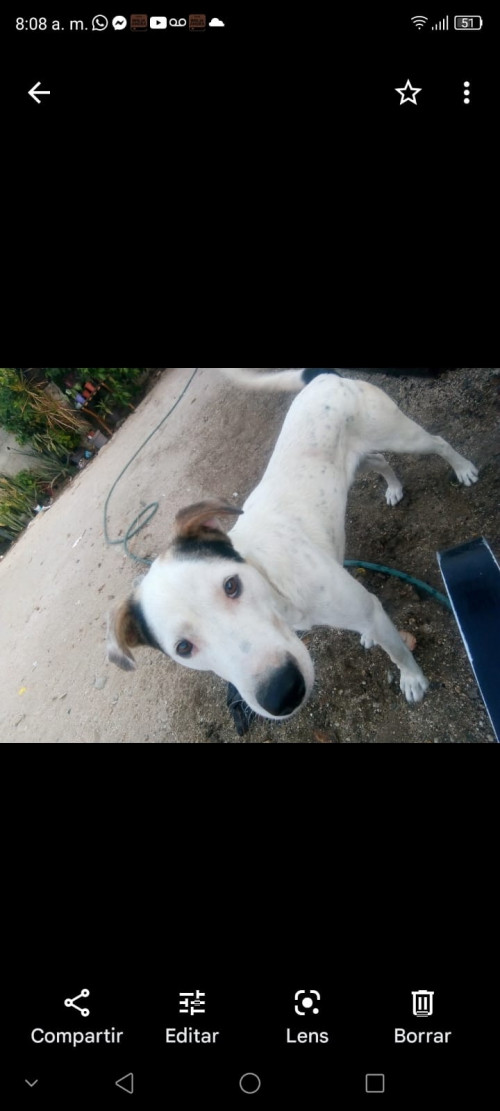 Duke