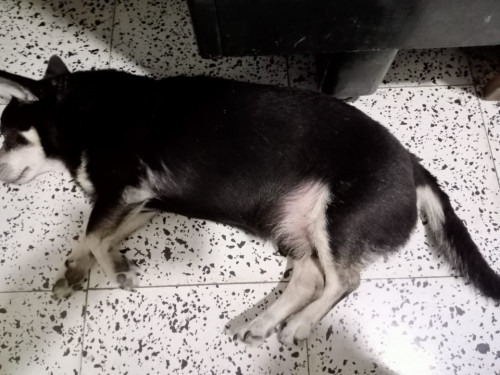 Mateo