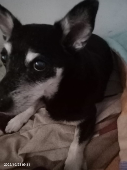Mateo