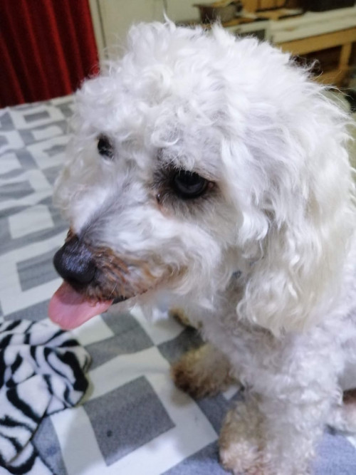 Matias