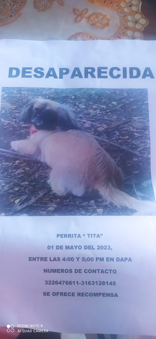 Tita Suarez