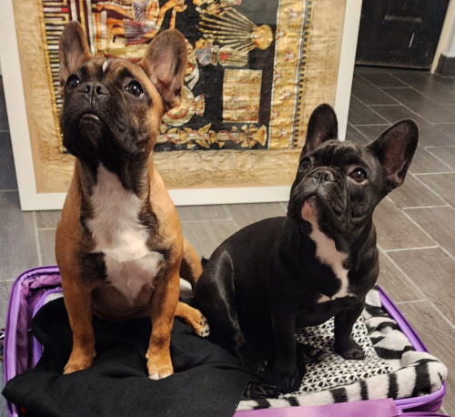 Cloe Y Pocho