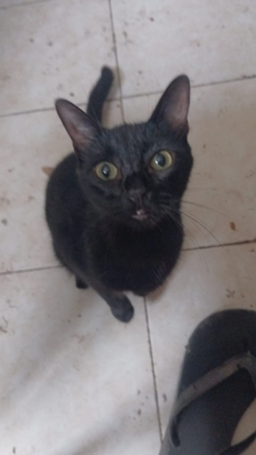 Lucy