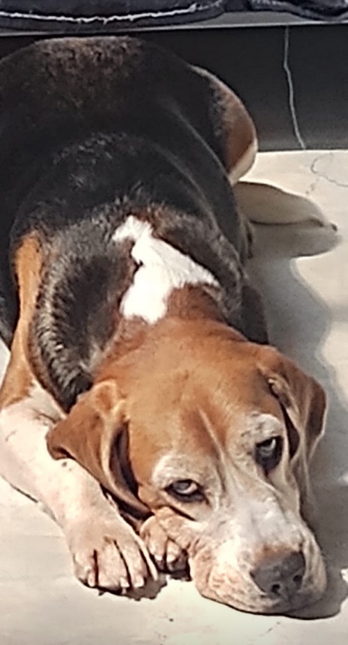 Max