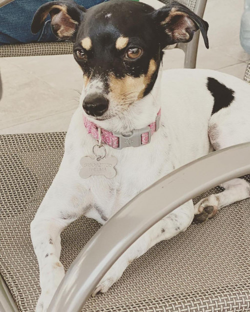 Lala