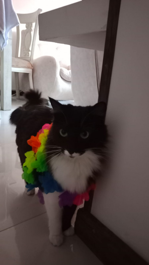 Luna