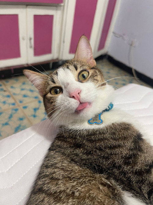 Tom