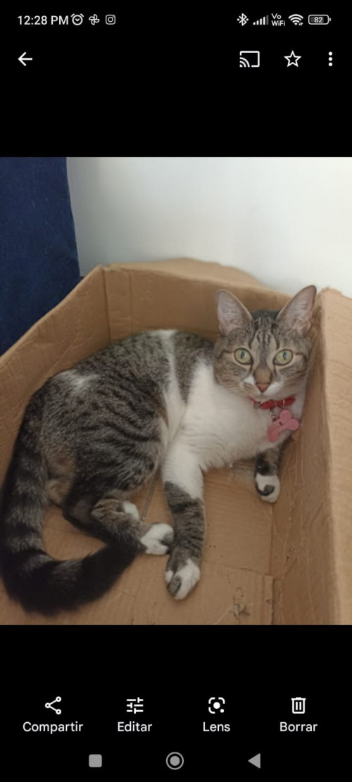 Luna