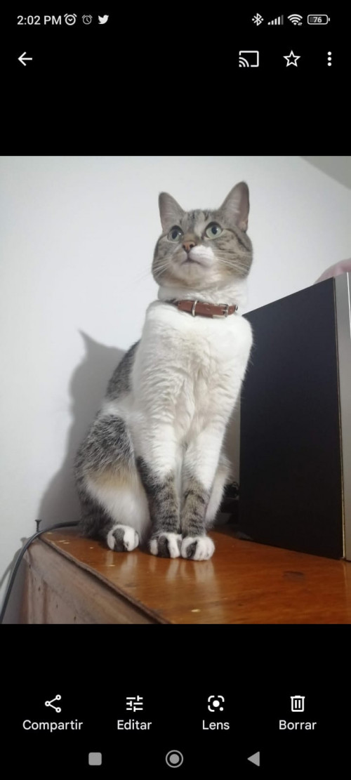 Luna