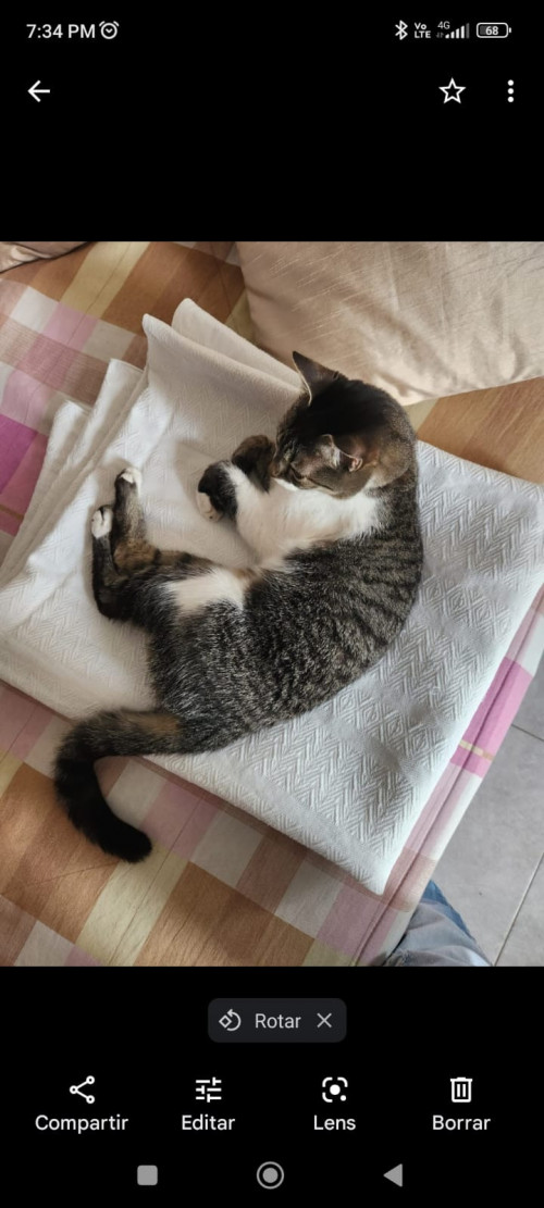 Luna