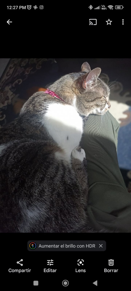 Luna