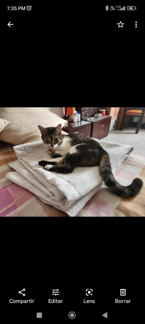 Luna