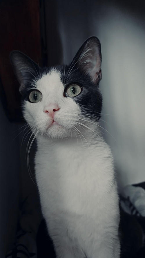 Billy